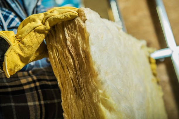 Best Insulation Removal  in Scott, LA