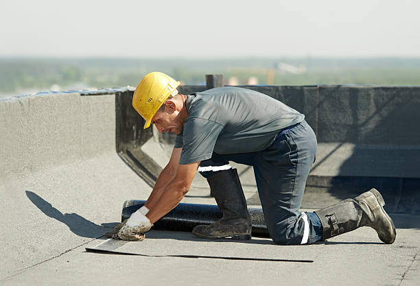 Best Insulation Removal  in Scott, LA