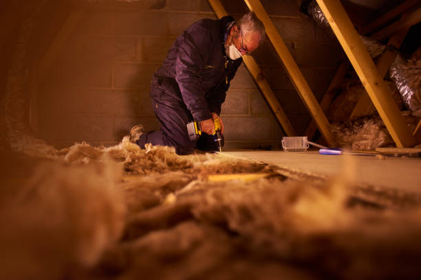 Best Wall Insulation Contractor  in Scott, LA