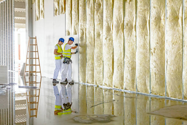 Best Insulation Contractors for Homes  in Scott, LA